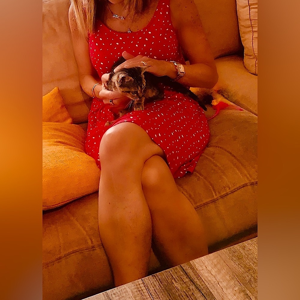 Super cute sundress worn once.